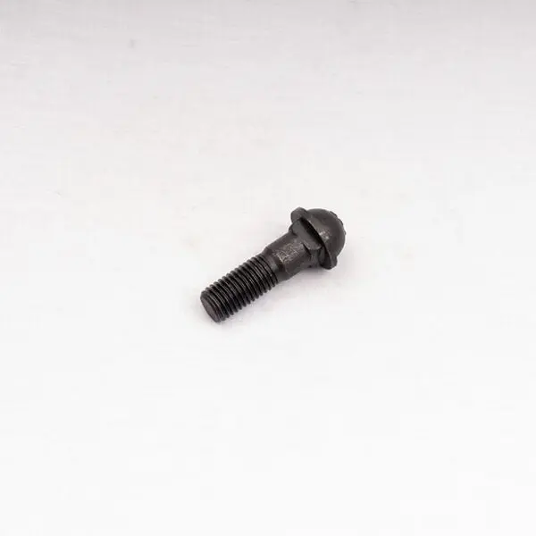 BOLT DOME HEAD STD     .182KG