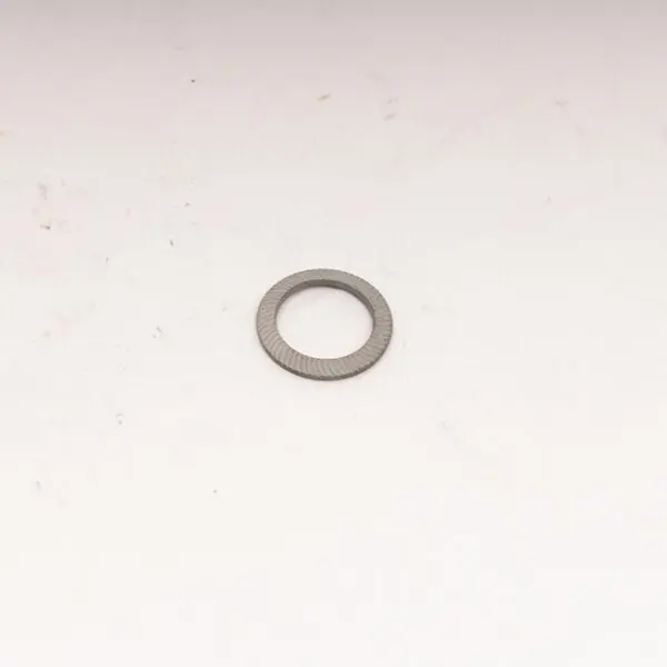 M20 SCHNORR WASHER